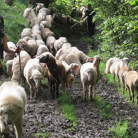 La Cazalere Вилла *